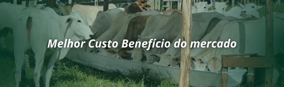 photo_2024-10-06_20-40-16