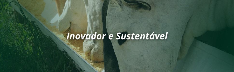 photo_2024-10-06_20-40-28