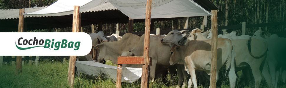 photo_2024-10-06_20-40-33