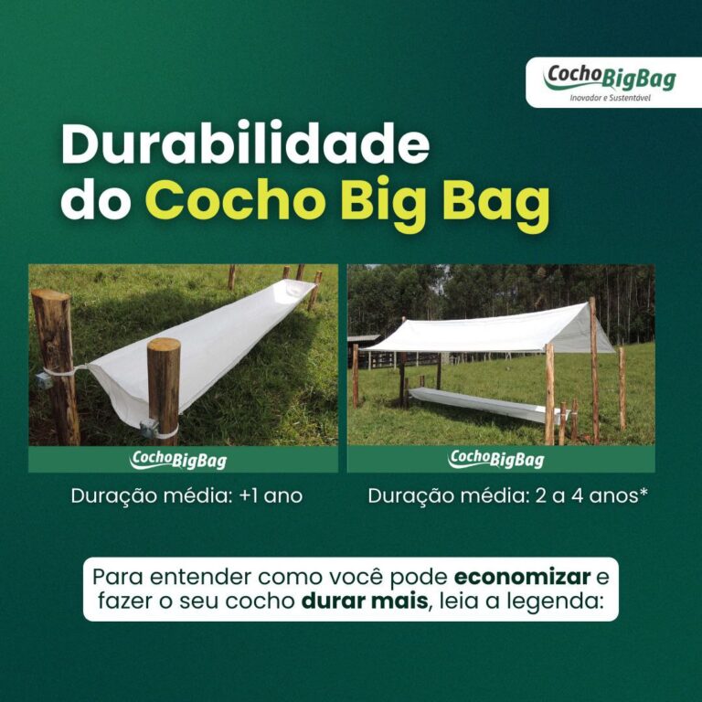 photo_2024-10-09_16-41-35